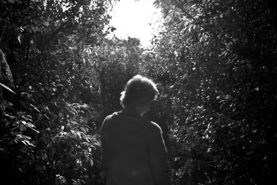 Rear view of man standing by trees in forest