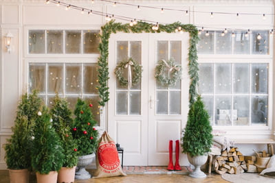 Winter rustic interior decorated for new year with christmas trees. winter exterior of a country