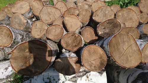 Stack of logs