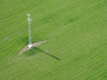 High angle view of agricultural field