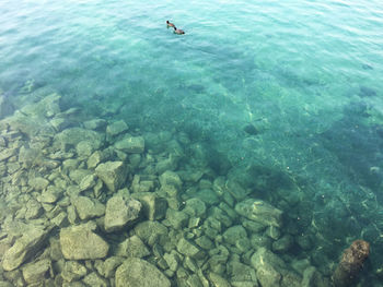 View of sea against blue sky