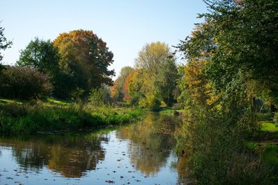 Scenic view of lake in forest during autumn