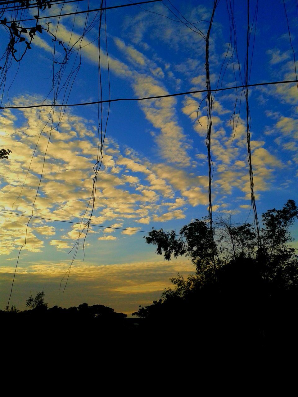 power line, electricity pylon, power supply, electricity, silhouette, cable, sky, sunset, connection, fuel and power generation, low angle view, power cable, technology, tree, tranquility, blue, cloud - sky, beauty in nature, scenics, nature