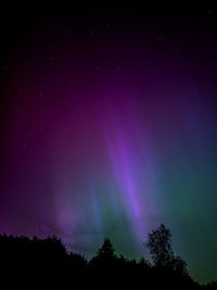 Low angle view of star field against sky at night