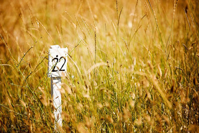 Number sign on grassy field