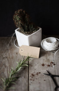 High angle view of potted plant on table