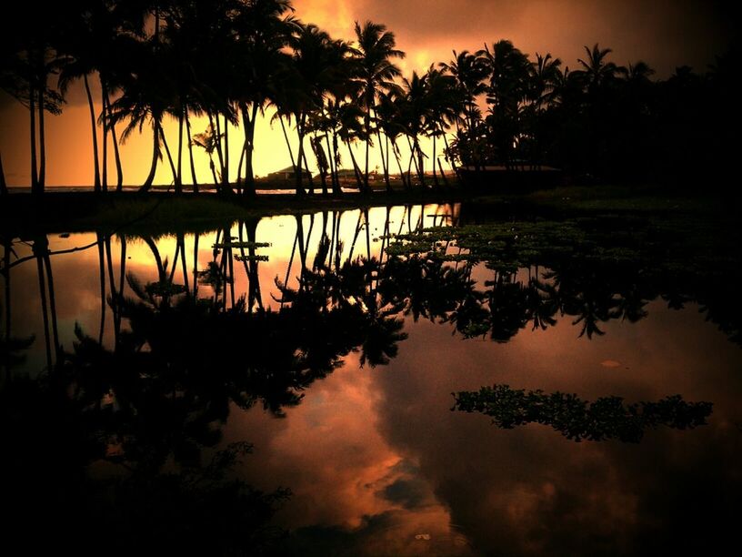 sunset, water, reflection, silhouette, tree, tranquil scene, tranquility, scenics, sky, lake, beauty in nature, nature, orange color, idyllic, waterfront, palm tree, cloud - sky, standing water, calm, dusk