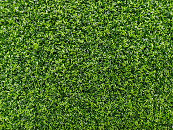 Full frame shot of soccer field