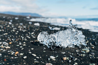 Close-up of crab on beach against sky