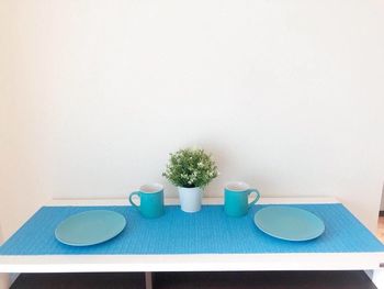 Potted plant on table against white background