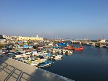 Sailboats moored at harbor against clear sky