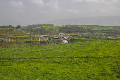 Scenic view of field against sky
