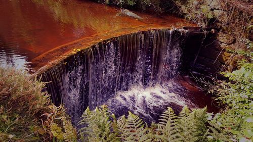 Scenic view of waterfall