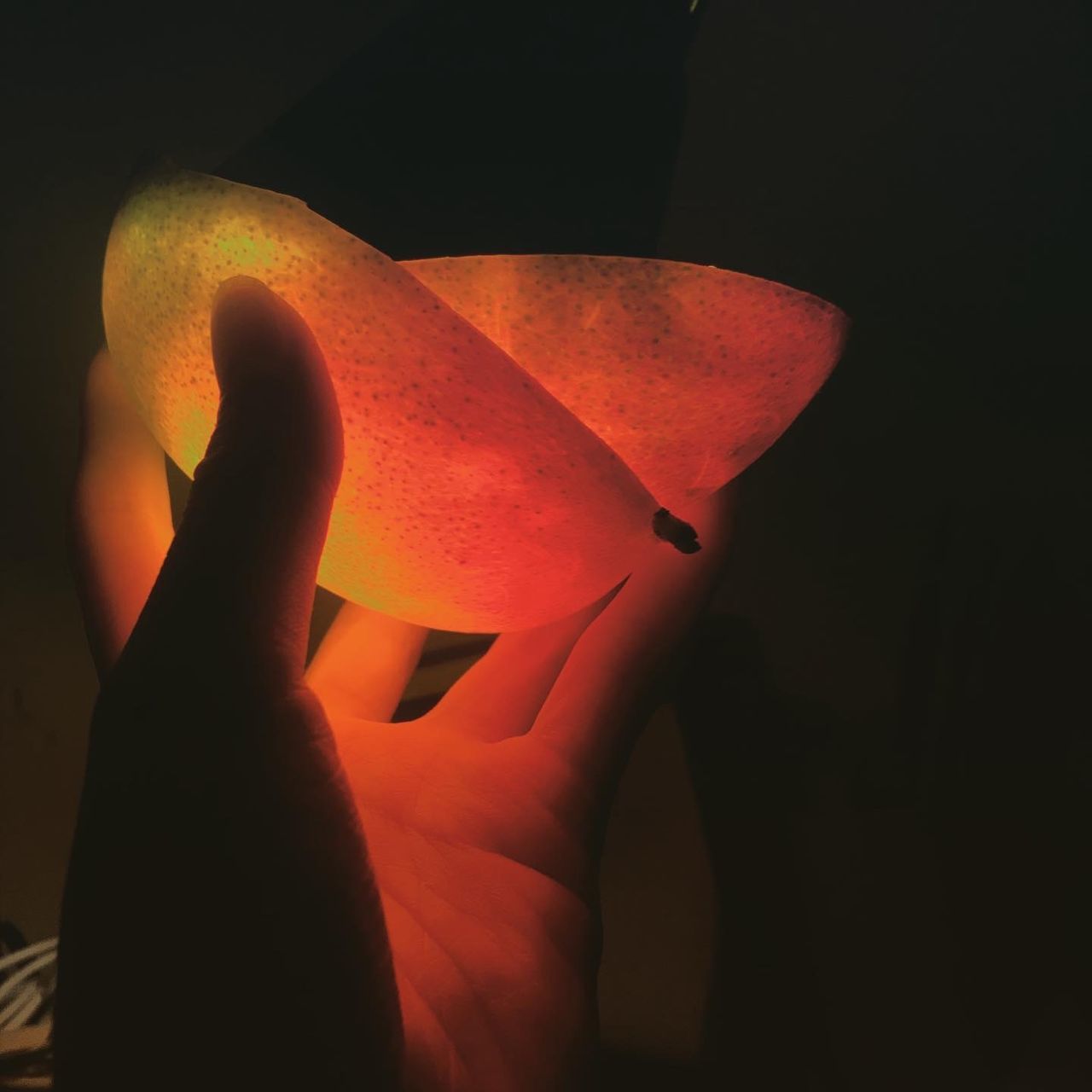 CLOSE-UP OF PERSON HAND HOLDING ILLUMINATED LAMP