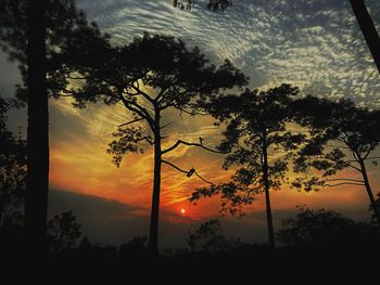 Silhouette trees against sky during sunset