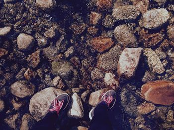 Low section of woman standing on rocks