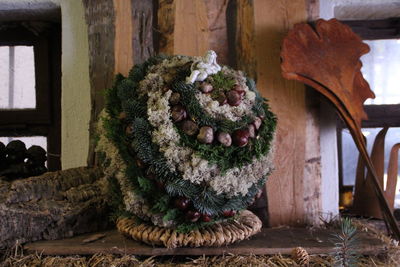 Close-up of potted plants on table