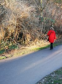 Rear view of person walking on footpath