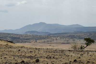 Arid landscape against a mountain background, lake magadi, rift valley, kenya