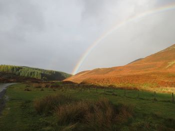 Mountain with grassy landscape by trees and rainbow in sky