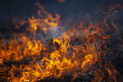 Close-up of fire burning in autumn