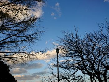 Low angle view of silhouette tree against sky