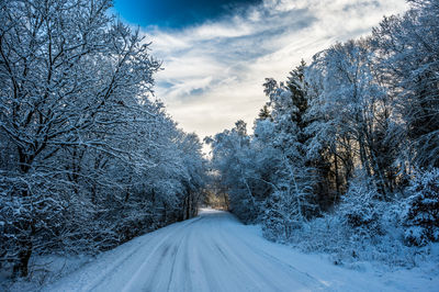 Curved road in