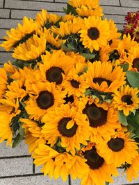 Close-up of yellow flowers blooming outdoors