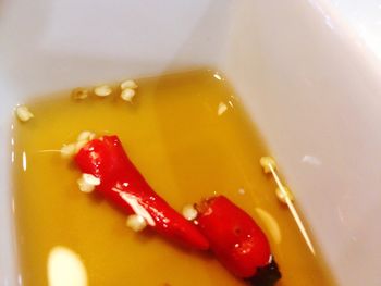 Close-up of served food