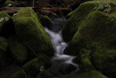 Close-up of waterfall against trees