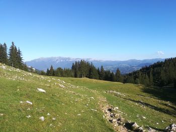 Scenic view of landscape against clear blue sky