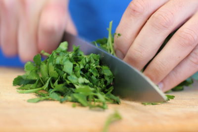 Cropped image of person holding fresh green leaves