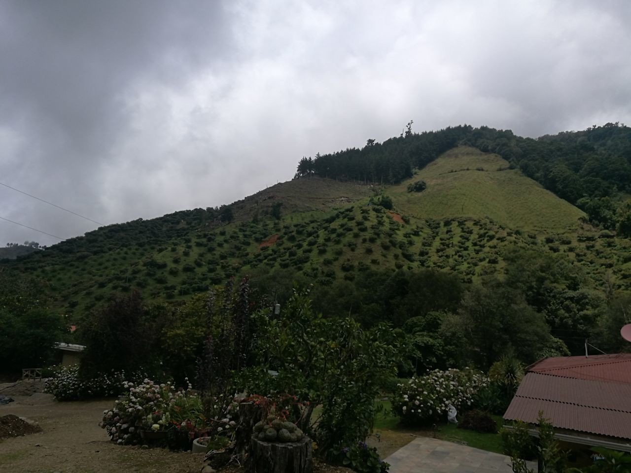 sky, cloud - sky, beauty in nature, nature, plant, growth, environment, landscape, scenics - nature, no people, tree, mountain, day, land, green color, tranquil scene, tranquility, outdoors, non-urban scene