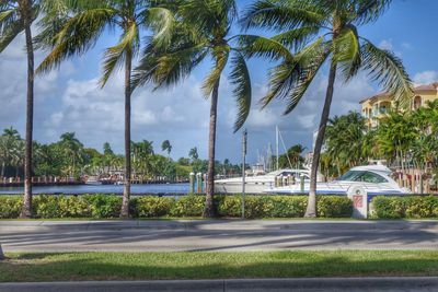 Road passing through a forest