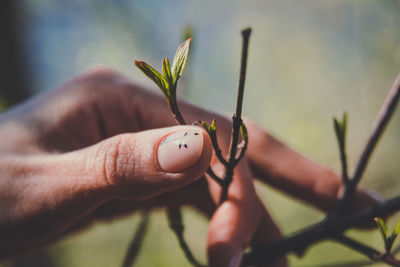 Close up manicured female hand holding branch with plant bud concept photo