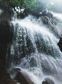 Scenic view of waterfall in forest