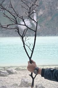 Cropped hand of man holding branch at lakeshore