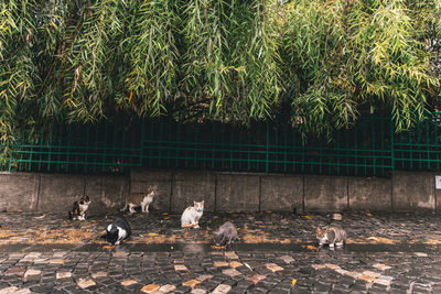 People walking on field