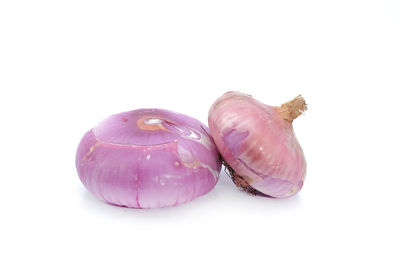 Close-up of ice cream against white background