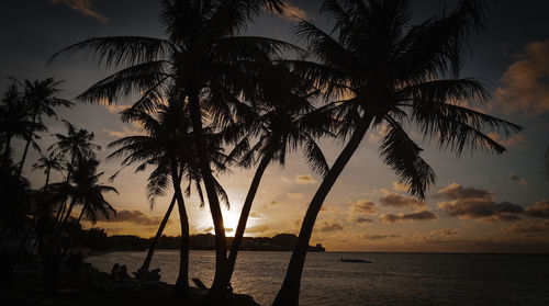 Silhouette palm trees on beach against sky during sunset
