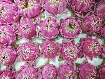 High angle view of pink flowers on market stall
