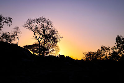 Silhouette trees against sky during sunset