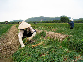 Rear view of men working on agricultural field