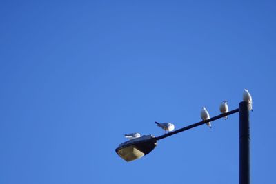 Low angle view of clear blue sky