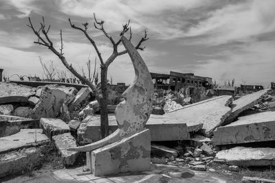 Damaged tree by building against sky