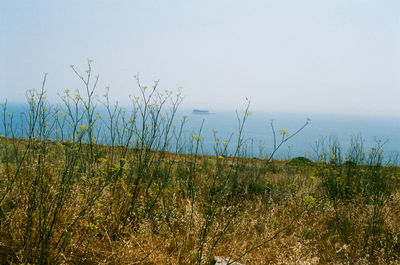 Scenic view of land against clear sky