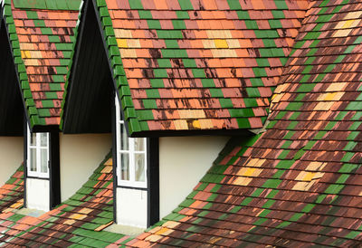 Architectural detail of roof