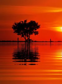 Silhouette tree by lake against romantic sky at sunset