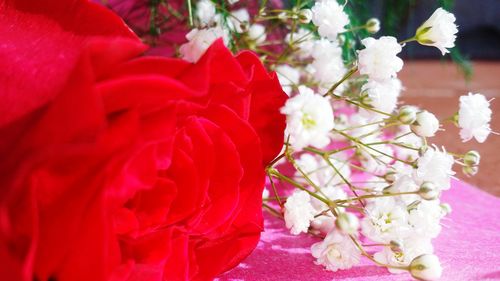 Full frame shot of red flowers