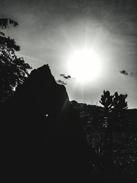 Low angle view of silhouette trees against sky